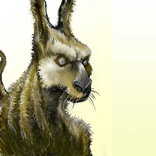 kangourou